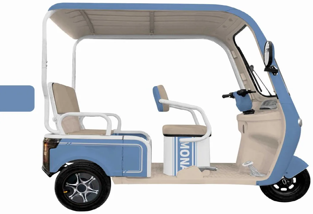 Ecco electric trikes — model ZQDL-ECCO