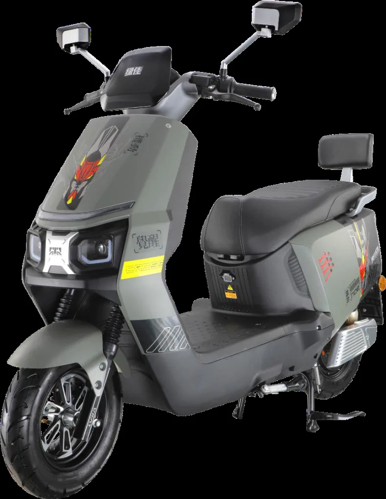 N12 M city scooters — model LJ1500DT-G