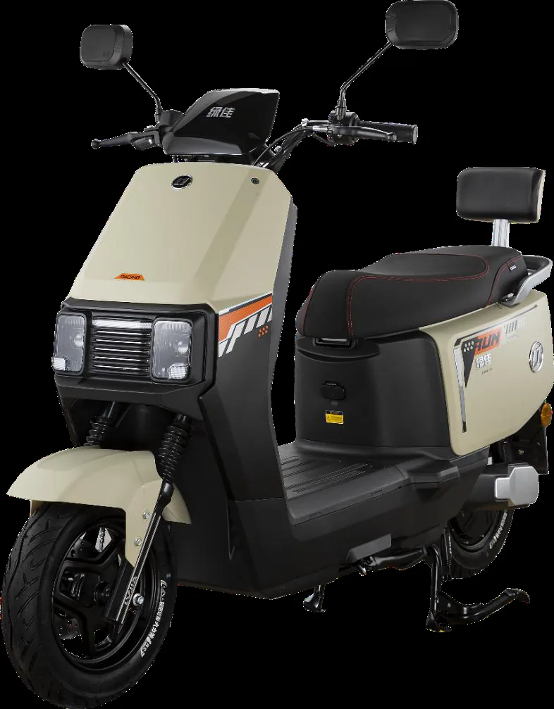 Tantu M city scooters — model LJ1200DT-12G