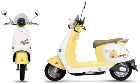 Caihong M electric motorcycle — LJ1200DT-14G