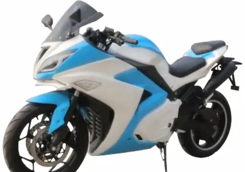 High Performance — electric vehicle category
