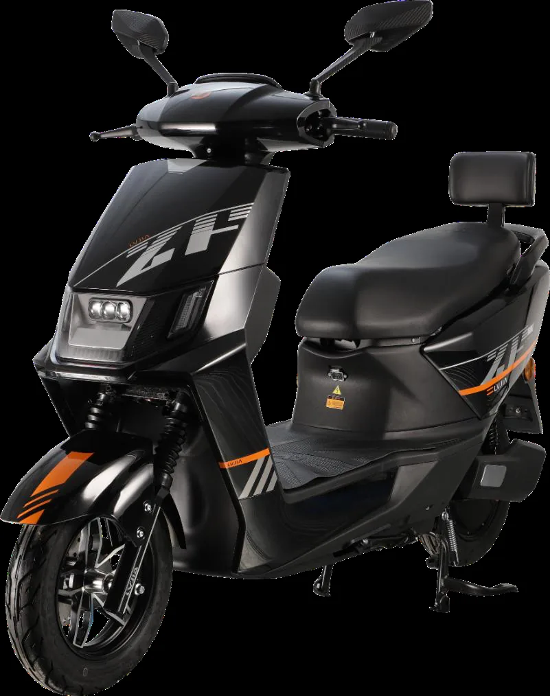 Zhanbing city scooters — model LJ1200DT-66