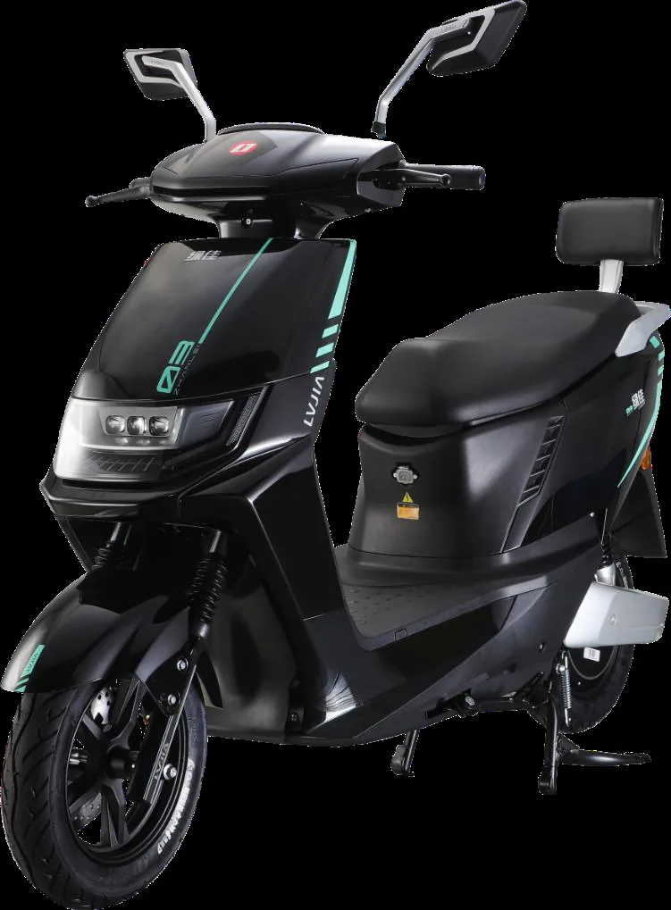 Zhanlei city scooters — model LJ1200DT-60